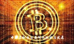 中国虚拟币交易所的现状与发展