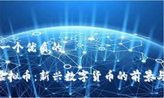 思考一个优质的RVC虚拟币：新兴数字货币的前景