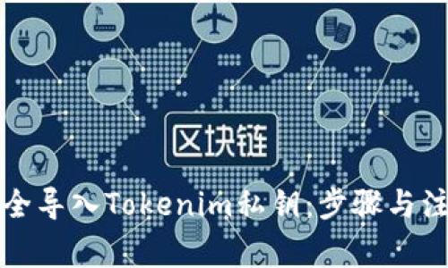如何安全导入Tokenim私钥：步骤与注意事项