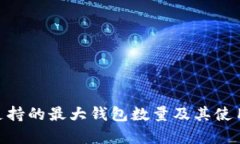 Tokenim支持的最大钱包数量及其使用方式解析