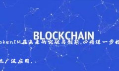   深入探讨TokenIM系统：区块链技术的未来框架
