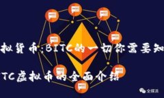 虚拟货币：BITC的一切你需要知道BITC虚拟币的全面