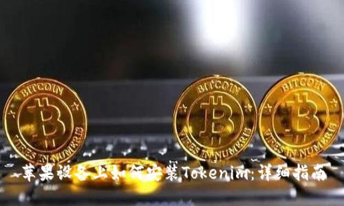 苹果设备上如何安装Tokenim：详细指南