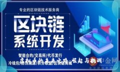 虚拟币的未来之路：崛起与挑战