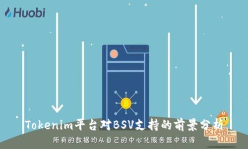 Tokenim平台对BSV支持的前景分析