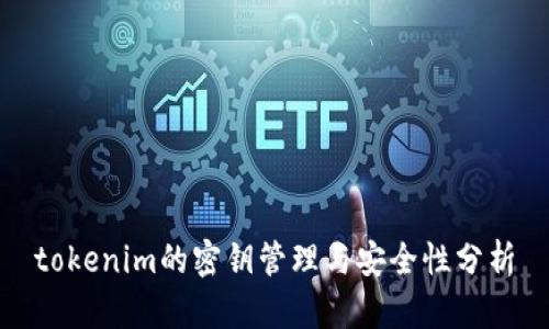 tokenim的密钥管理与安全性分析