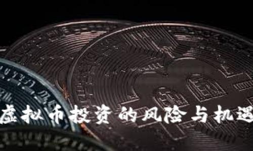 虚拟币投资的风险与机遇