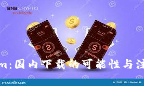 Tokenim：国内下载的可能性与注意事项