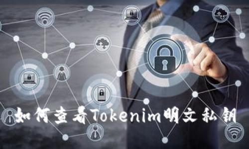 如何查看Tokenim明文私钥
