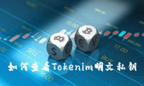 如何查看Tokenim明文私钥