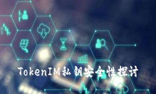 TokenIM私钥安全性探讨