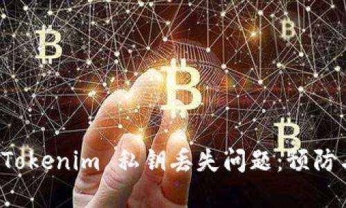 如何应对 Tokenim 私钥丢失问题：预防与解决方案