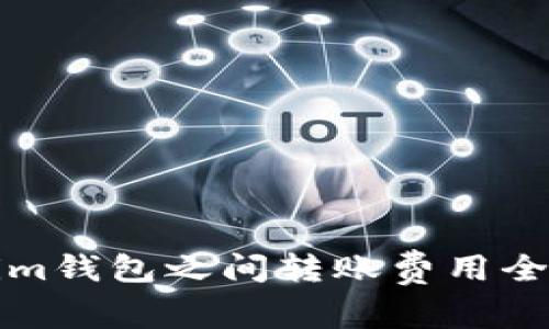 Tokenim钱包之间转账费用全面解析