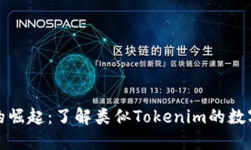 去中心化钱包的崛起：了解类似Tokenim的数字资产管理工具