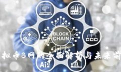 虚拟币B网的全面解析与未来前景