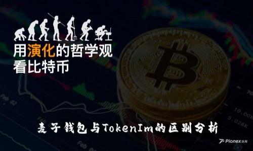 麦子钱包与TokenIm的区别分析