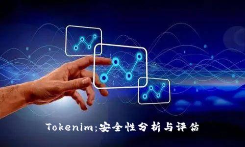 Tokenim：安全性分析与评估
