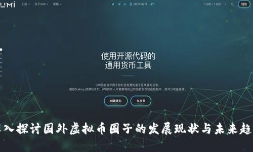 深入探讨国外虚拟币圈子的发展现状与未来趋势