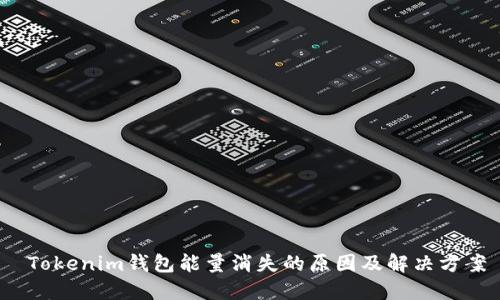  Tokenim钱包能量消失的原因及解决方案