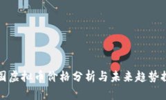 中国虚拟币价格分析与未来趋势探讨