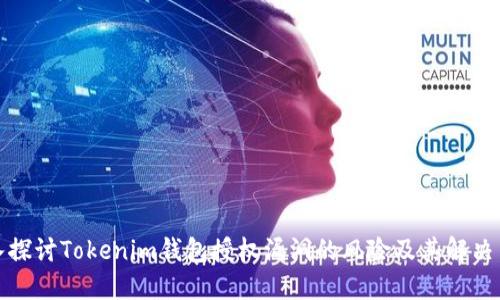 深入探讨Tokenim钱包授权漏洞的风险及其解决策略